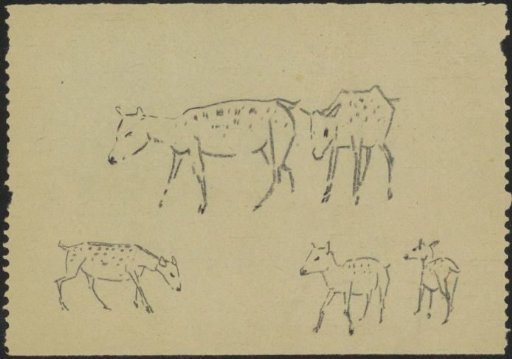 Deer