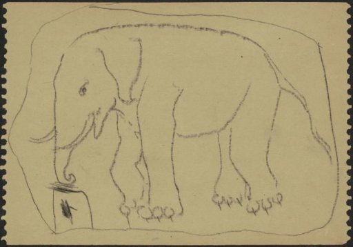 Elephant beside a crutch