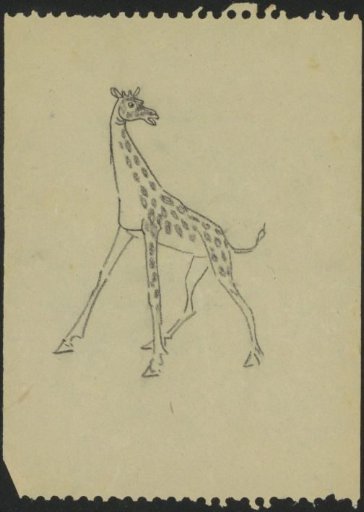 Giraffe