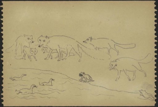 Pack of foxes at a waterside