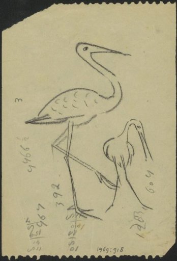 Storks