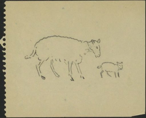 Sheep and Lamb