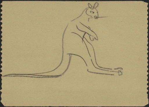 Kangaroo