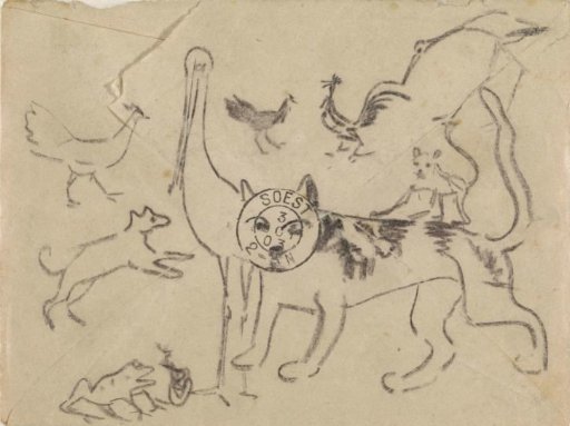 Animal studies