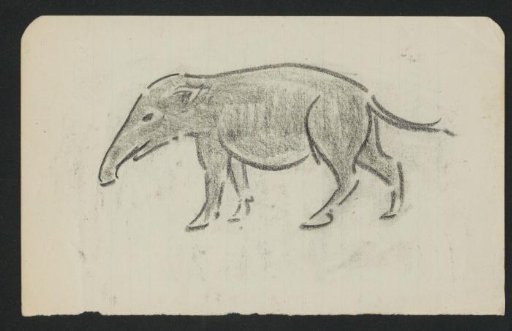 Tapir