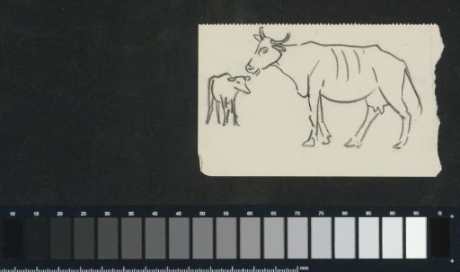Two cows