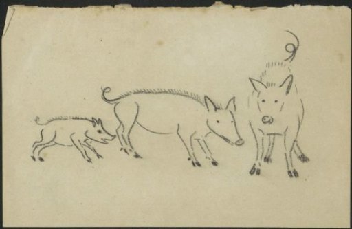 Three pigs