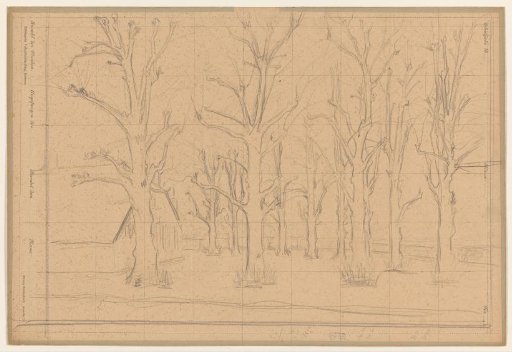 Study of bare trees (the Jansweg in Laren)
