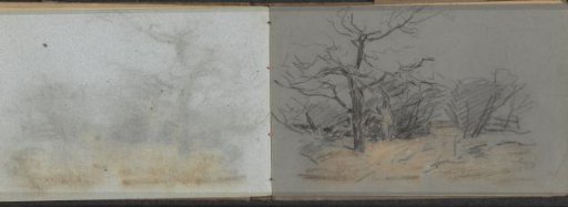 Landscape with trees
