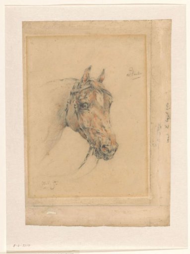 Head of the horse Pluto
