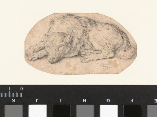 Reclining Dog, Turned to the Left