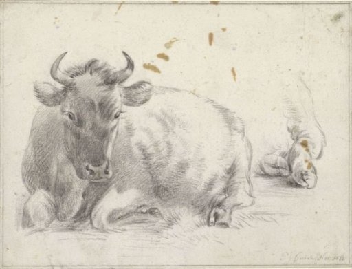 Reclining Ox and Detail of the Hind Legs