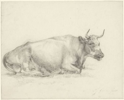 Reclining Cow, Facing Right