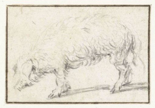 Standing Pig, Facing Left