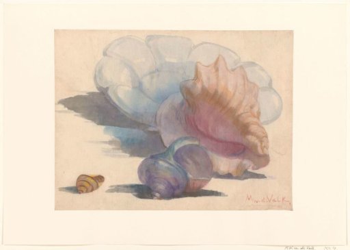 Three shells with a Delft pleated dish