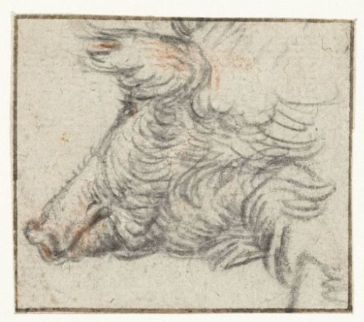 Head of a Female Wild Boar, Facing Left / Verso: Fragment of a Sketch of a Portrait or Animal Study