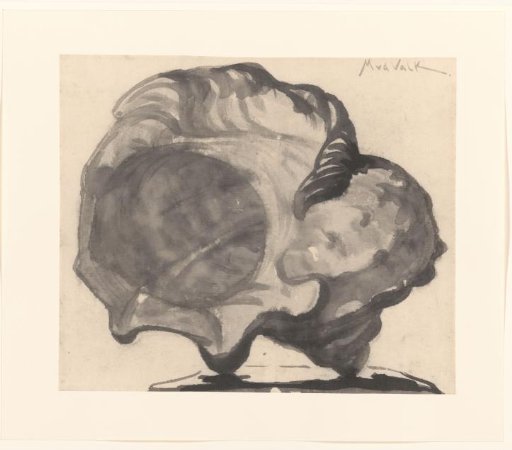 Shell