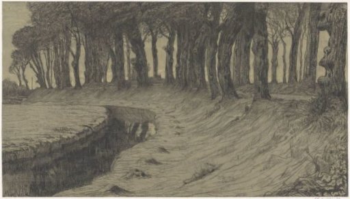 Trees along a Road over a Dike or Embankment