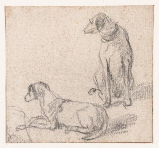 Sitting and a lying dog