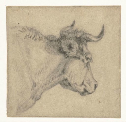 Head of an Ox