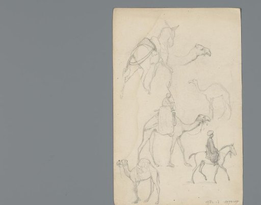 Composition with camels