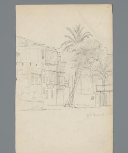 Egyptian houses and palms