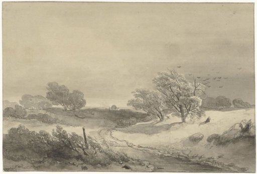 Dune landscape in gloomy weather