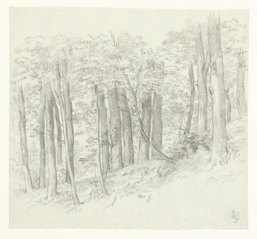 Wooded hill