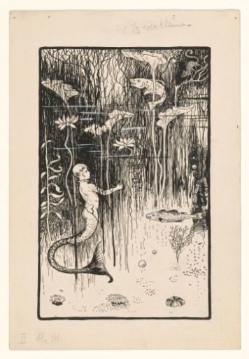 Boy with a fish tail underwater among fish and plants