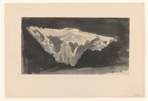 Shell Against a Black Ground