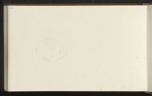 Head