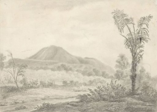 Javanese landscape with mountain and palm