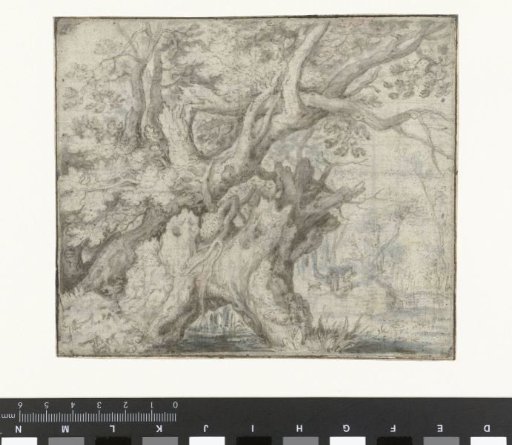 Gnarled Trees near the Water