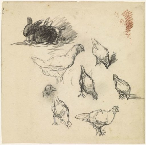 Sketch sheet with sketches of chickens and a rabbit