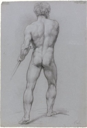 Standing male nude, seen from behind