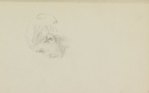 Woman's Head, in Profile to the Left