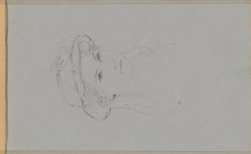 Head of a Girl with a Hat and Long Hair