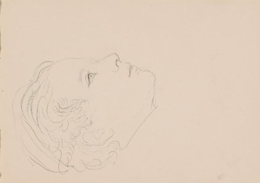 Boy's head, in profile to the right