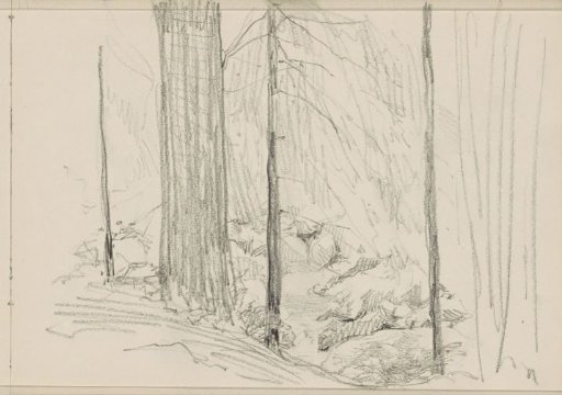 Stream with stones in a forest