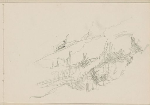 Trees against a mountain