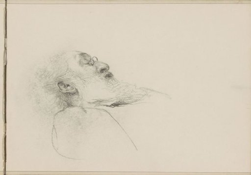 Portrait of an Old Man with a Long Beard and Pince-nez