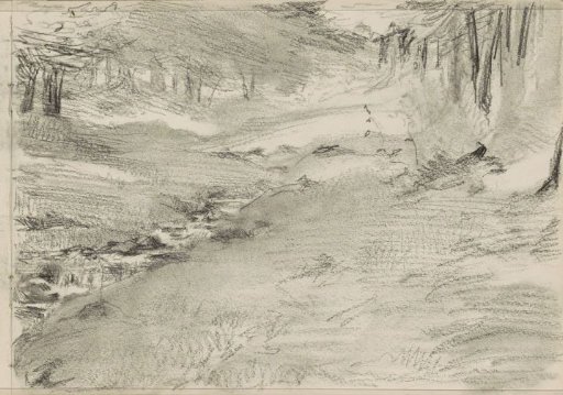 Stream in a Forest