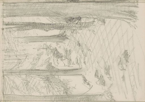 Forest path