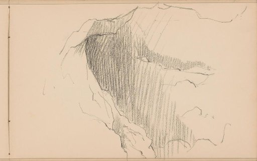 Study, possibly a tree trunk