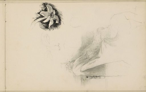 Flower, face of a woman and an interior with an armchair