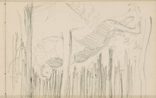 Boy and girl lying in a forest