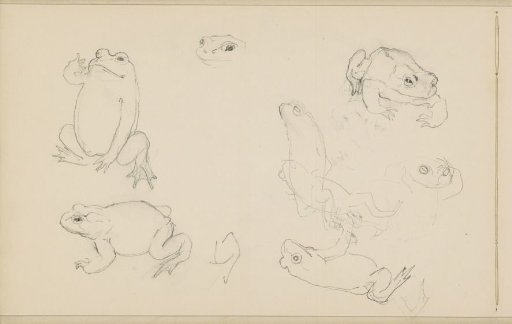 Frogs