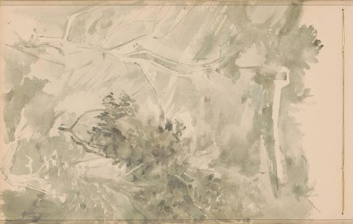 Trees in a valley