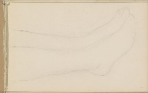 Lower legs and feet