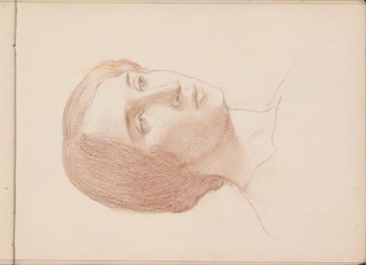 Woman's head